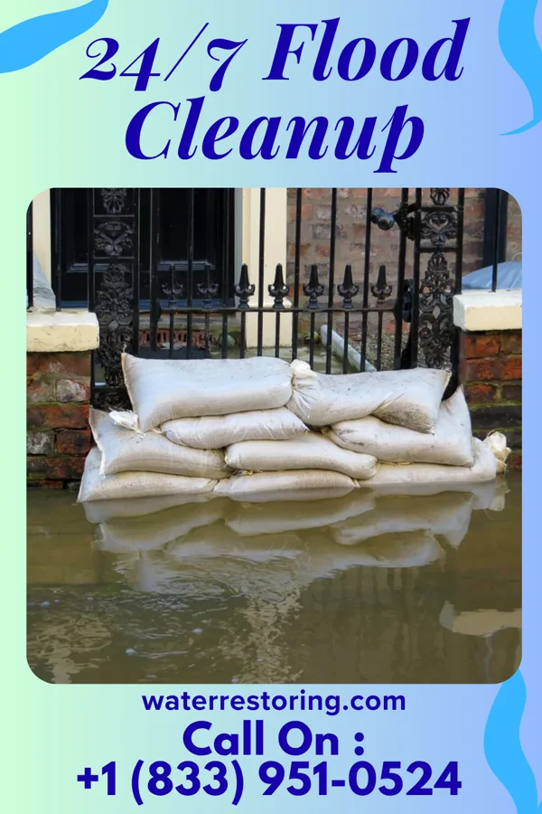 24/7 Flood Cleanup in Coalton, IL