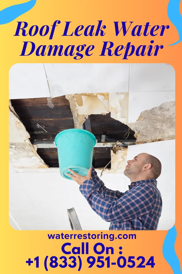 Roof Leak Water Damage Repair in Coalton, IL