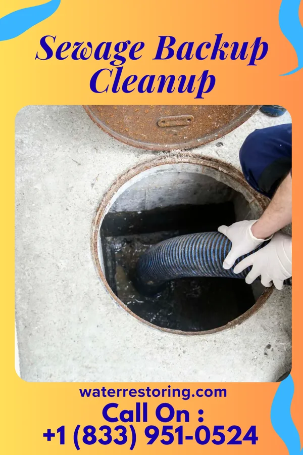 Sewage Backup Cleanup in Coalton, IL